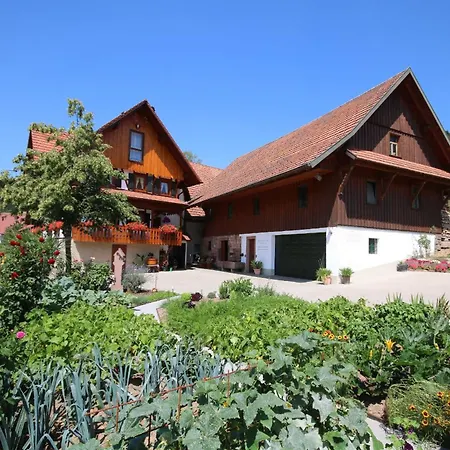 Kasimir Hof