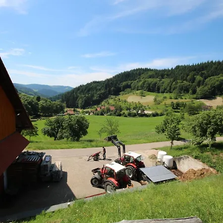 Kasimir Hof * سيباتش